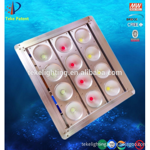 Building Decorative RGB lighting outdoor led flood light 500 watt